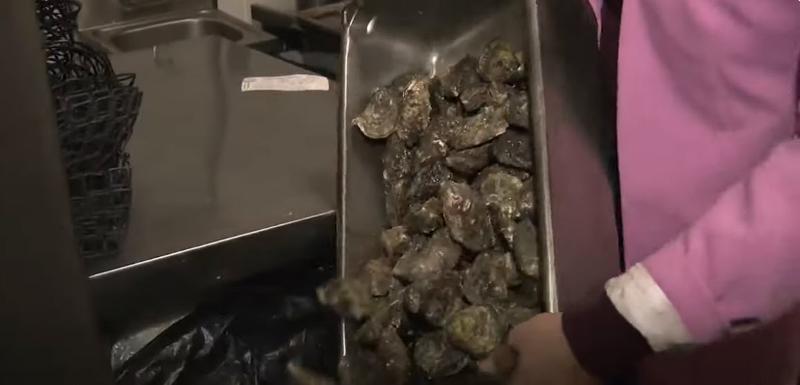 Norovirus Outbreak Linked to Oysters: Cases Surge in San Diego County