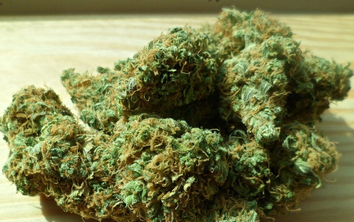 Oregon Deputies Seize 15-Pound Marijuana Bag During Littering Call in Washington County