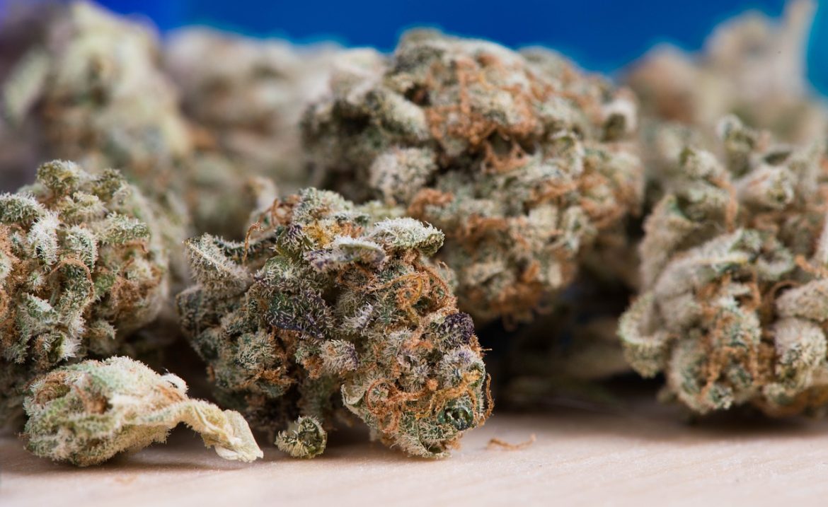 Marijuana Tourism Booms Best Cities and Economic Impact