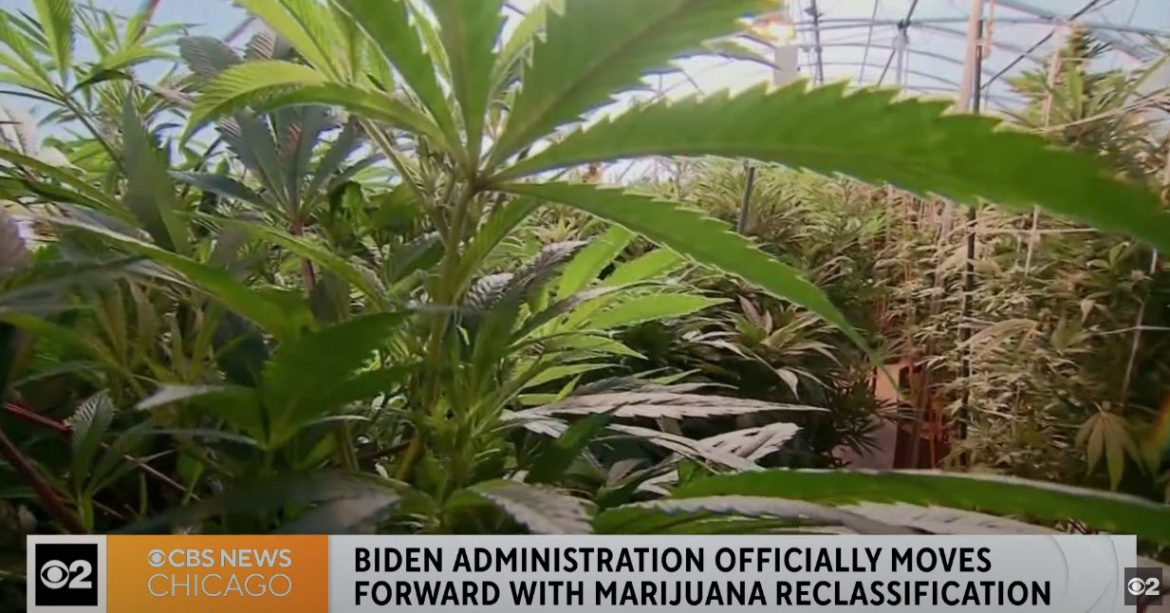 Biden Administration Moves Forward with Marijuana Reclassification