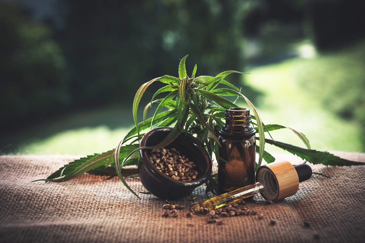 Medical Marijuana Companies Spend Millions to Support Florida Recreational Pot Amendment