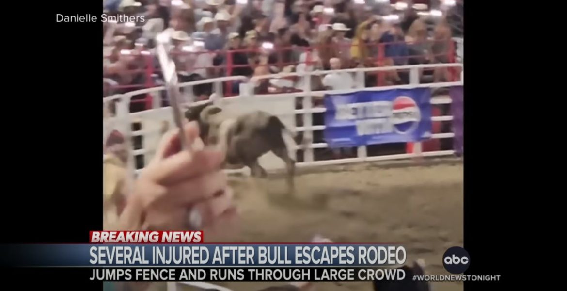 Bull Escapes at Sisters, Oregon Rodeo, Injuring Four