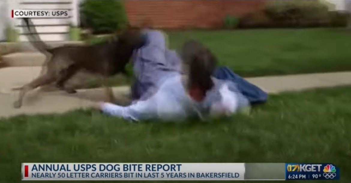Los Angeles Tops List for Dog Bites on Postal Carriers