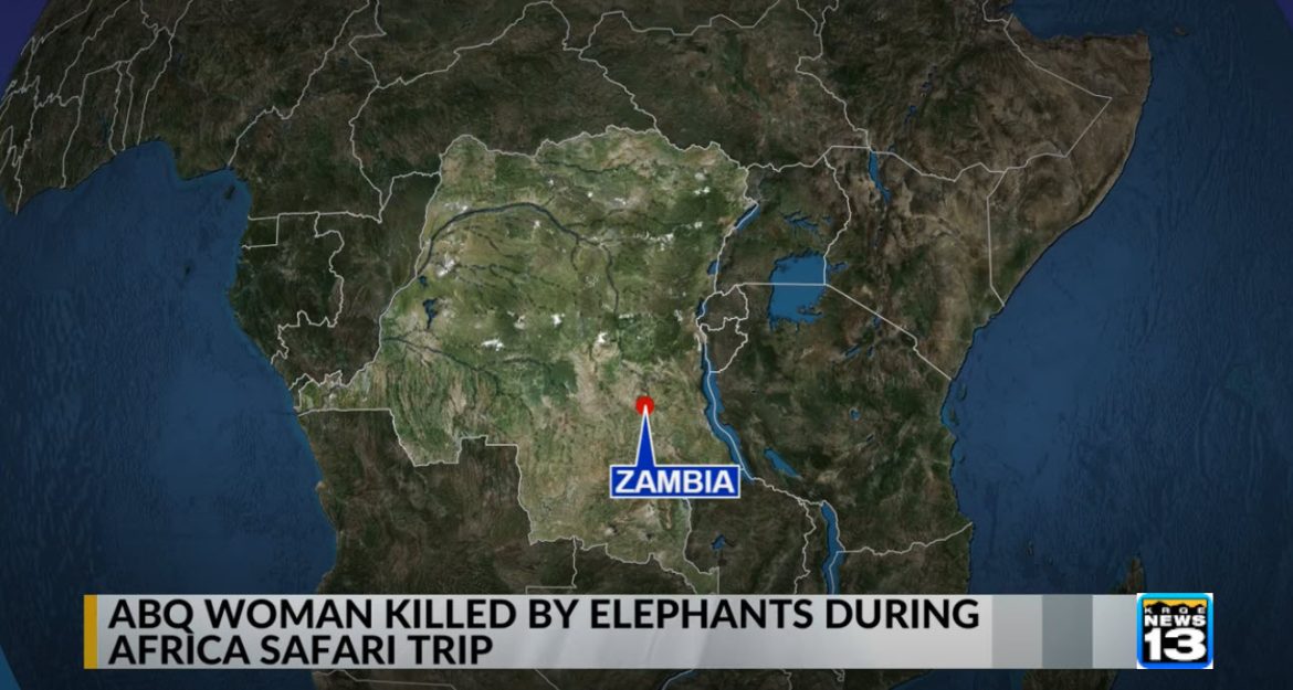 Zambian Broadcaster Reports Death of American Woman in Elephant Attack