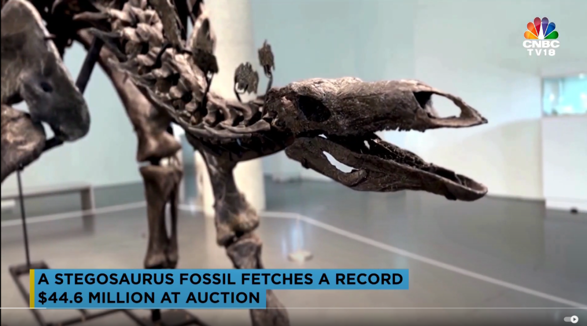 Stegosaurus Skeleton Sells for Record $44.6 Million at Sotheby’s Auction