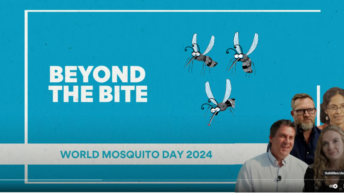 World Mosquito Day: Why Mosquitoes Prefer Some People Over Others