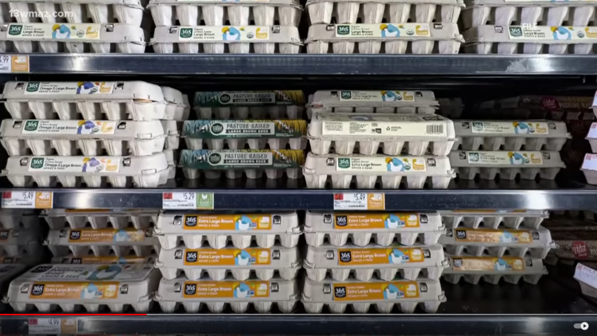 Eggs Recalled After Being Linked to 65 Salmonella Cases