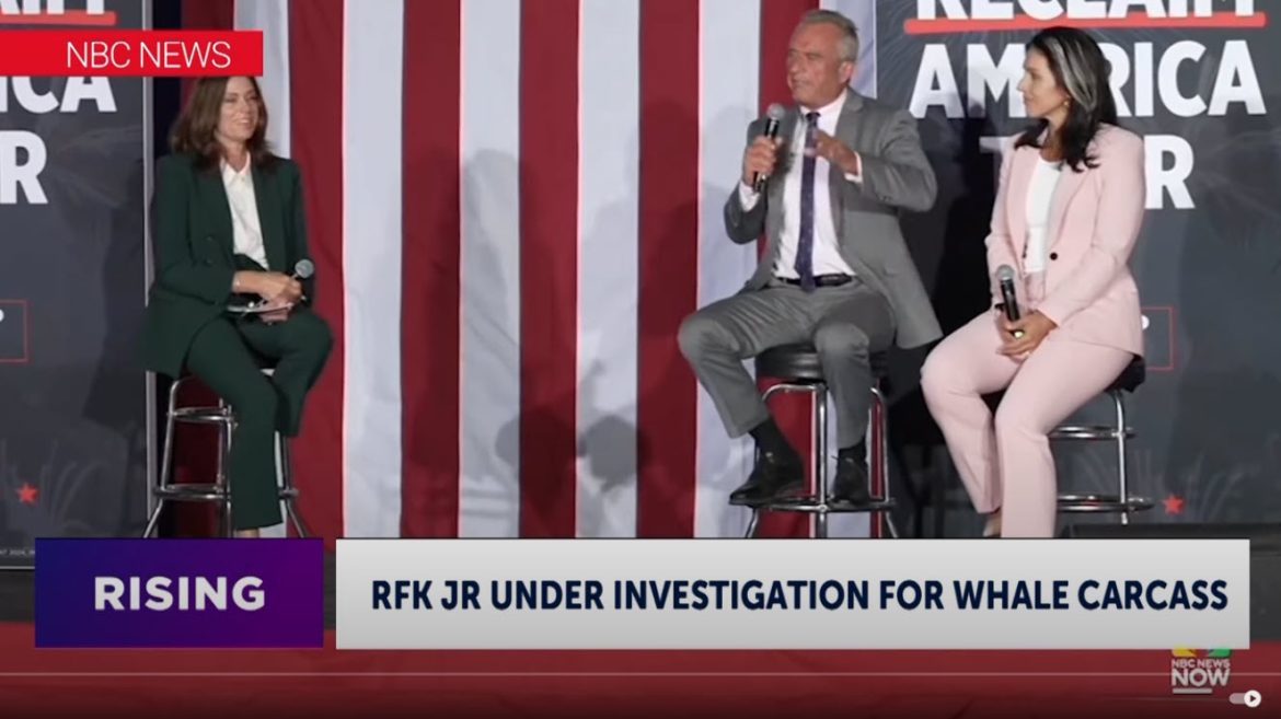 RFK Jr. Confirms Investigation Over Whale Decapitation, Calls it 'Weaponization'