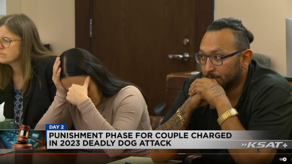 Widow Testifies in Harrowing San Antonio Dog Mauling Trial