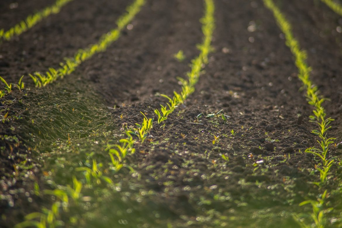 Congress Holds Special Hearing to Address Concerns Over Foreign-Owned Farmland in the U.S.