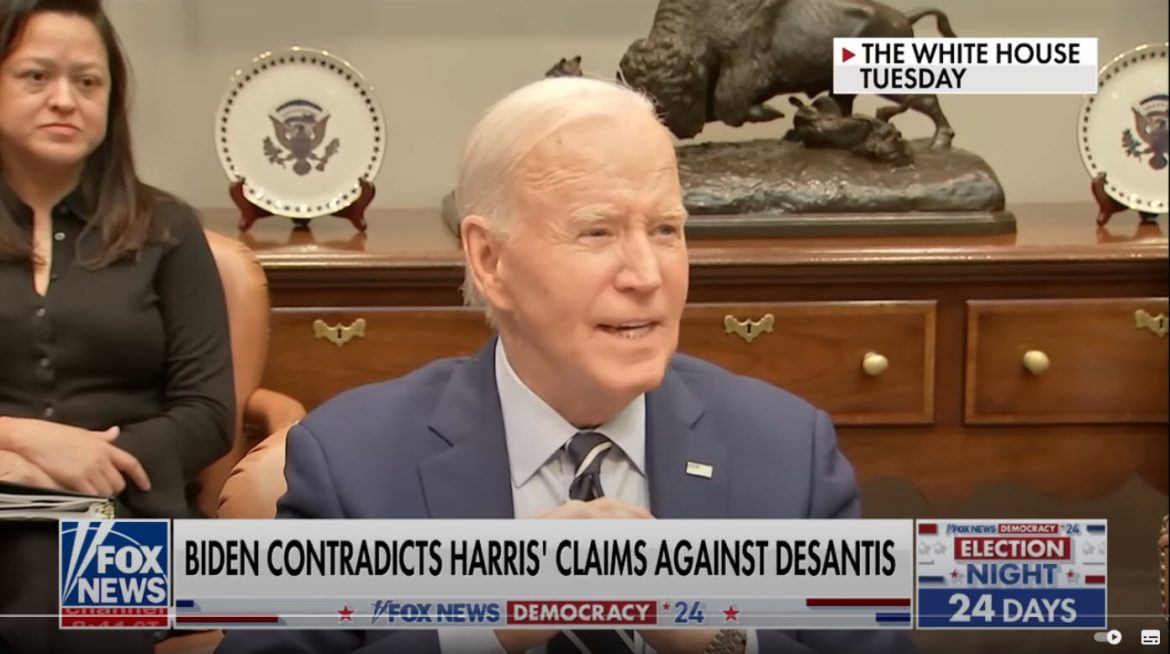 'Payback Time': Gingrich Suggests Biden May Be Undermining Harris Campaign