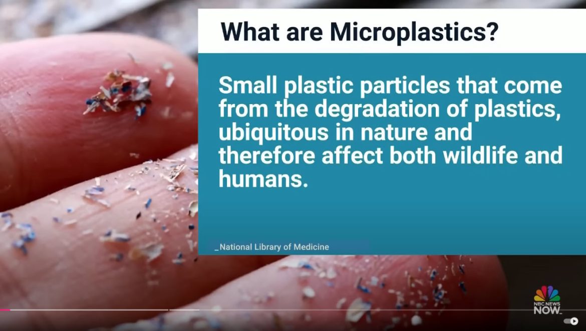 New Study Confirms Microplastics Found in Human Brain Tissue, Raising Health Concerns
